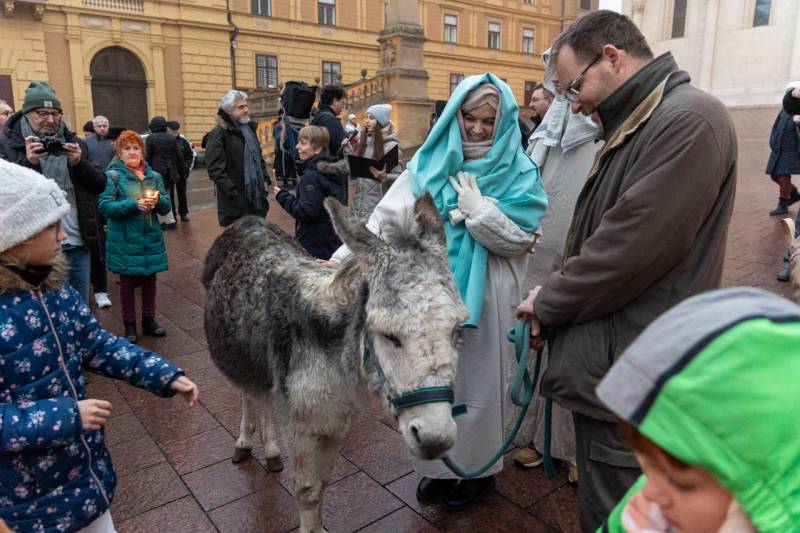 2025_12_20_szallast keres_08.jpg